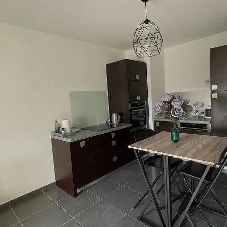 Le Nid Douillet D'annecy Appartement