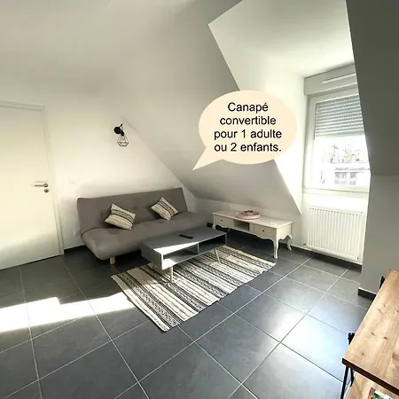 Le Nid Douillet D'annecy Appartement *